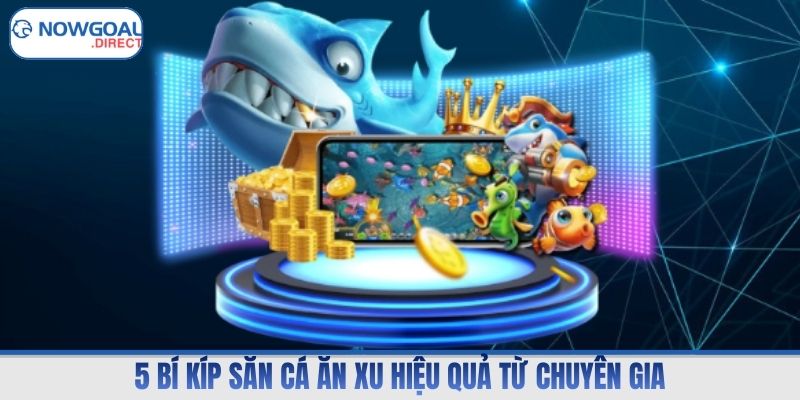 5 bí kíp săn cá ăn xu hiệu quả từ chuyên gia