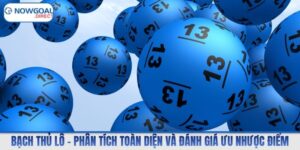 Bạch Thủ Lô – Phân Tích Toàn Diện Và Đánh Giá Ưu Nhược Điểm