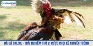 Đá Gà Online – Trải Nghiệm Thú Vị Cược Chọi Kê Truyền Thống