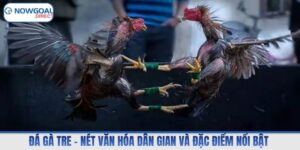 Đá Gà Tre – Nét Văn Hóa Dân Gian Và Đặc Điểm Nổi Bật 