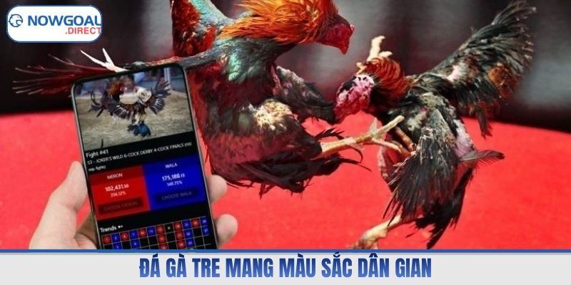 Đá gà tre mang màu sắc dân gian
